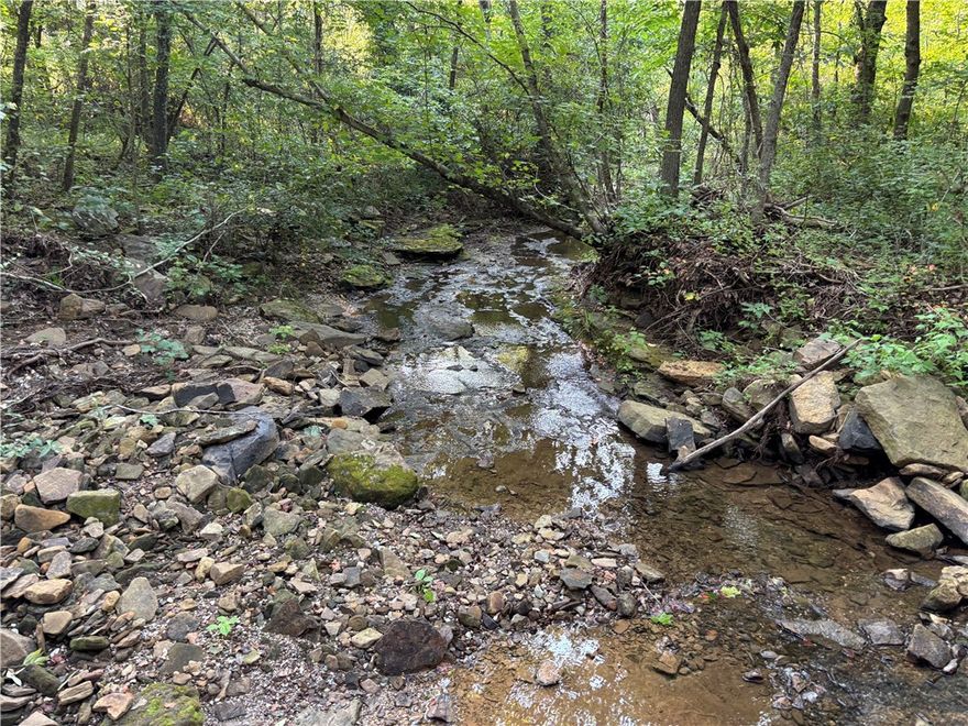 Don’t miss this nicely located, 14.83 wooded acres with rural water, creek, power, highway frontage, OzarksGo fiber optic on site. Great out of town location with easy access to all amenities. 5 minutes west of Huntsville and about 30 minutes to the Fayetteville/Springdale area. Rolling useable land with numerous building sites for a primary residence or a cabin to get away. Utility availability is the responsibility of the buyer or buyers agent.
