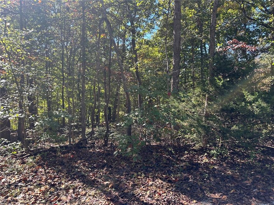 Scenic Large Bella Vista lot backs up to POA property and Branchwood Disc Golf Course & Nature Trail which adjoins Branchwood Recreation Center. Build your dream home only minutes to sparkling Lake Loch Lomond, scenic bike & walking trails. This prime lot offers convenient access to some of the area's best outdoor recreation, while also providing the privacy and tranquility of the Ozarks. As a Bella Vista property owner, you’ll enjoy access to a full suite of amenities including: Multiple golf courses. Lakes for boating, fishing, and swimming. Private pools & recreation centers. Extensive trail systems for hiking and mountain biking. Tennis courts. The Bella Vista Country Club & social venues. Whether you're looking to build a vacation retreat, a forever home, or an investment property, this lot is ideally situated for both adventure and relaxation. Don’t miss the opportunity to own a piece of Bella Vista’s natural beauty with all the modern conveniences of a planned community. Lot size is .33 acres cul-de-sac.