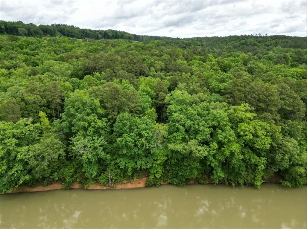 Escape to the heart of the Ozarks with this rare 2.17-acre gem tucked away on a private road along the beautiful Big Piney Creek! This wooded paradise offers peace, privacy, and direct access to one of Arkansasā most scenic waterwaysāperfect for kayaking, fishing, or just soaking in the natural beauty.
Whether youāre dreaming of building a cozy creekside cabin or creating a high-demand Airbnb getaway, this property checks all the boxes. With stunning views, mature trees, and that hard-to-find combination of seclusion and adventure, itās a true slice of heaven.
Donāt miss your chance to own a piece of the Big Piney. Opportunities like this donāt come around often!