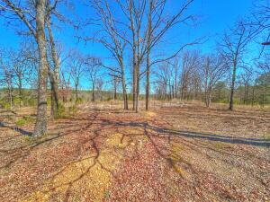 Escape to the tranquility of nature with this beautiful 10-acre property, perfect for building your dream home or placing a cozy cabin. The land is primed and ready for construction with rural water available at the road and power already run to the property--just add a meter loop to get started! A large concrete pad is already in place, making it even easier to begin your build. With everything set up and waiting, it's never been simpler to turn your vision into reality. Don't miss out on this incredible opportunity to create your ideal retreat in the perfect rural setting!Airiel photo link https://drive.google.com/file/d/1QFIlTgzEQkojiteo1HYPqH8xh62I3fqV/view?usp=drive_link