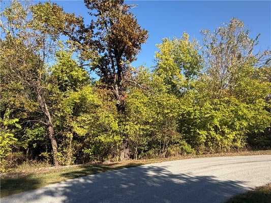 HADRIAN LANE, BELLA VISTA, AR 72715 - Image 355fd3752f34c796e99e0fa71aca6f12/1280249980