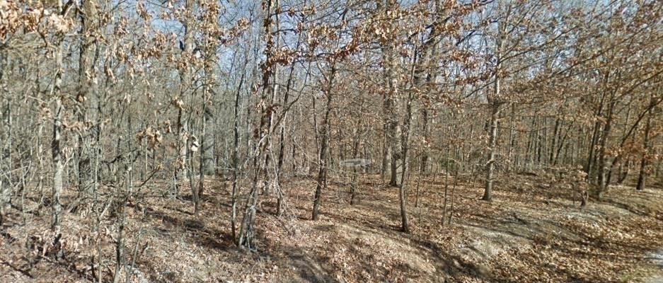 Back Forty Trail, buildable lot in the Cul-De-Sac with several nice homes in the area. Lot is level to sloping. Convenient to town with all Bella Vista amenities.