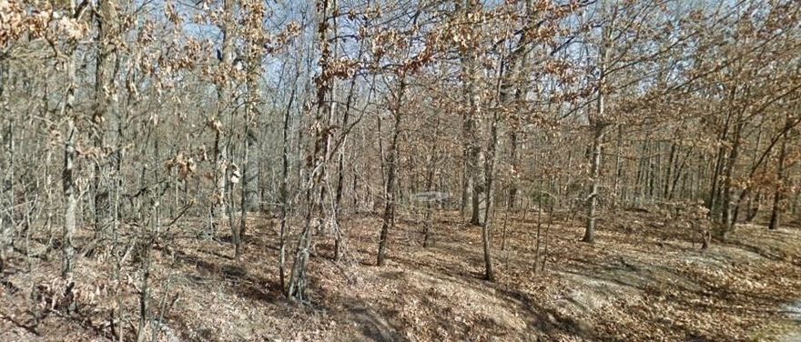 Back Forty Trail, buildable lot in the Cul-De-Sac with several nice homes in the area. Lot is level to sloping. Convenient to town with all Bella Vista amenities.