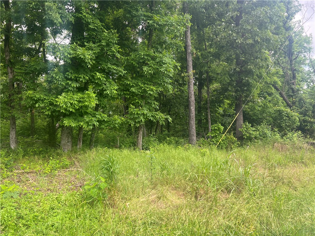 Discover your private oasis with this stunning 3.96-acre lot in the prestigious Altons 1st Add, in Little Flock! Just minutes from the sparkling waters of Beaver Lake and the vibrant communities of Bentonville and Rogers, this secluded parcel offers the perfect blend of tranquility and convenience. Surrounded by natural beauty, it’s an ideal spot to build your dream home. Key features include a pre-installed 1500-gallon septic tank, approved water, and electric hookups already at the street, saving you time and expense. Zoned for residential use, this rare opportunity in a prime location won’t last long. Contact us today to make this slice of paradise yours!