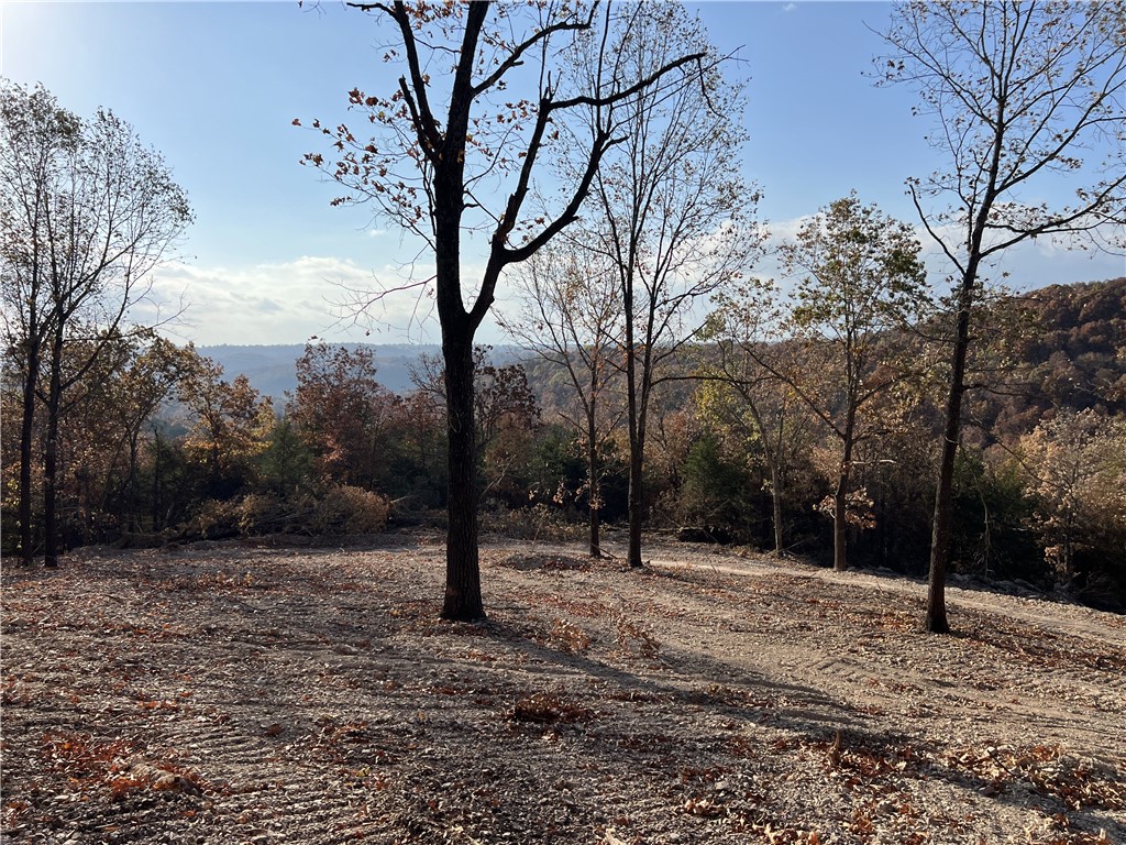 Fantastic View!! The property features a secluded building site with lots of hardwood trees, no property restrictions, and electric is available. Call today to schedule a showing.