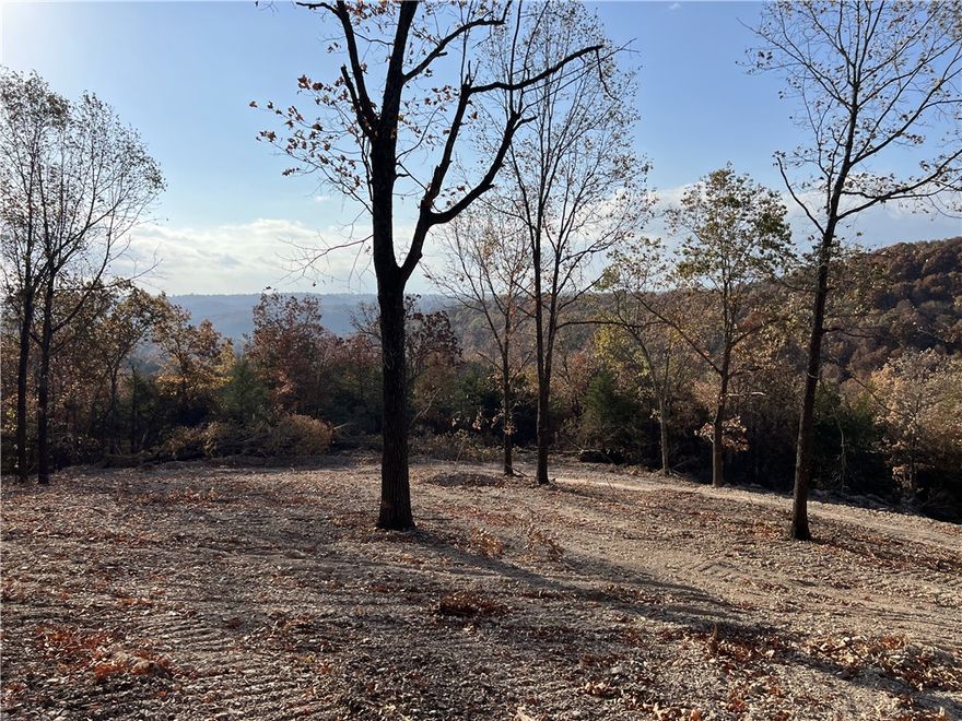 Fantastic View!! The property features a secluded building site with lots of hardwood trees, no property restrictions, and electric is available. Call today to schedule a showing.