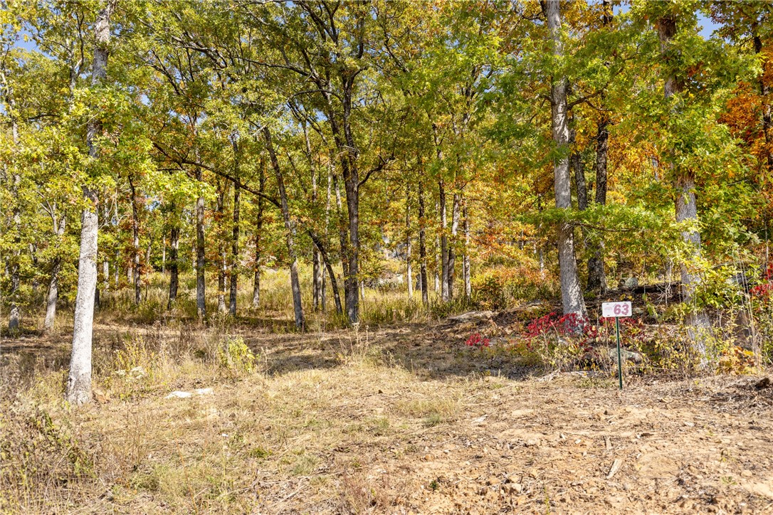 Come take a look at Lot 63 (0.60 m/l ac) in Round Mountain Estates! This lot offers amazing Ozark Mountain Views, unique rock features to incorporate (or not) into your custom home design, bluff lines and should have phenomenal westerly views! RME is a new, master planned, exclusive subdivision located 10 minutes west of Harrison, AR. The following utilities are already on site making the building process much easier for you; natural gas, fiber optic internet, electric, public water, and sewer. Interested in your family seeing the star lights instead of those city lights? RME is what you've been searching for! RME features a 350 +/- acre common area for its residents that includes a stocked fishing pond, Kissing Rock trail, natural springs to explore, Baby Canyon trail, incredible bluff lines to climb, and views for hundreds of miles that will not only take your breath away but will forever be etched in your memory! Neighborhood amenities coming soon.