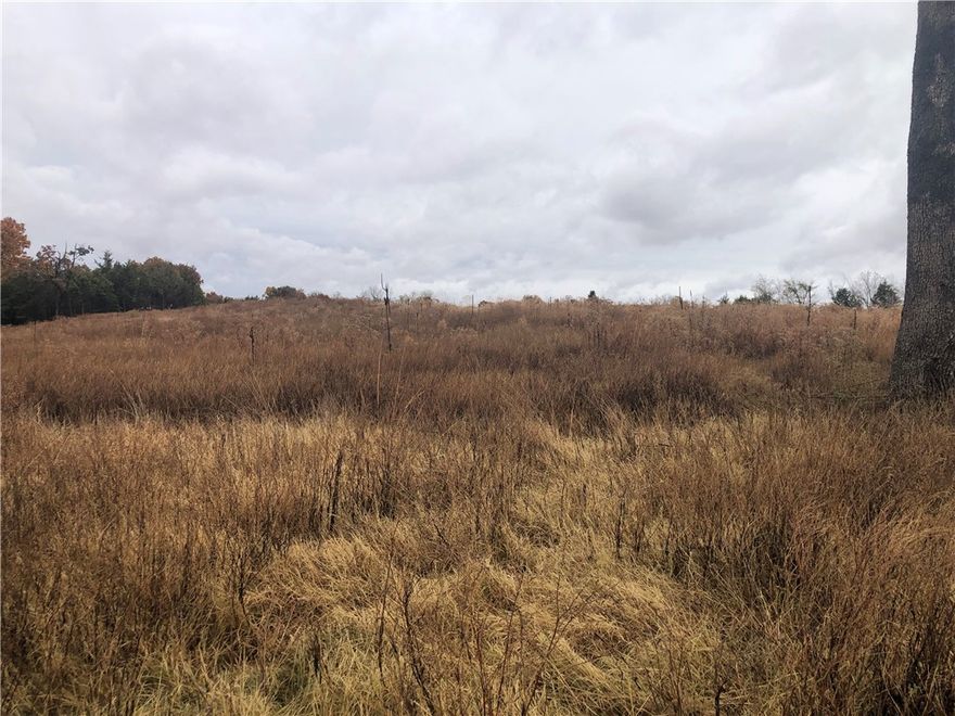 One of the most beautiful views of Prairie Grove from this mountaintop. Flat property with a beautiful setting. Agent owned
