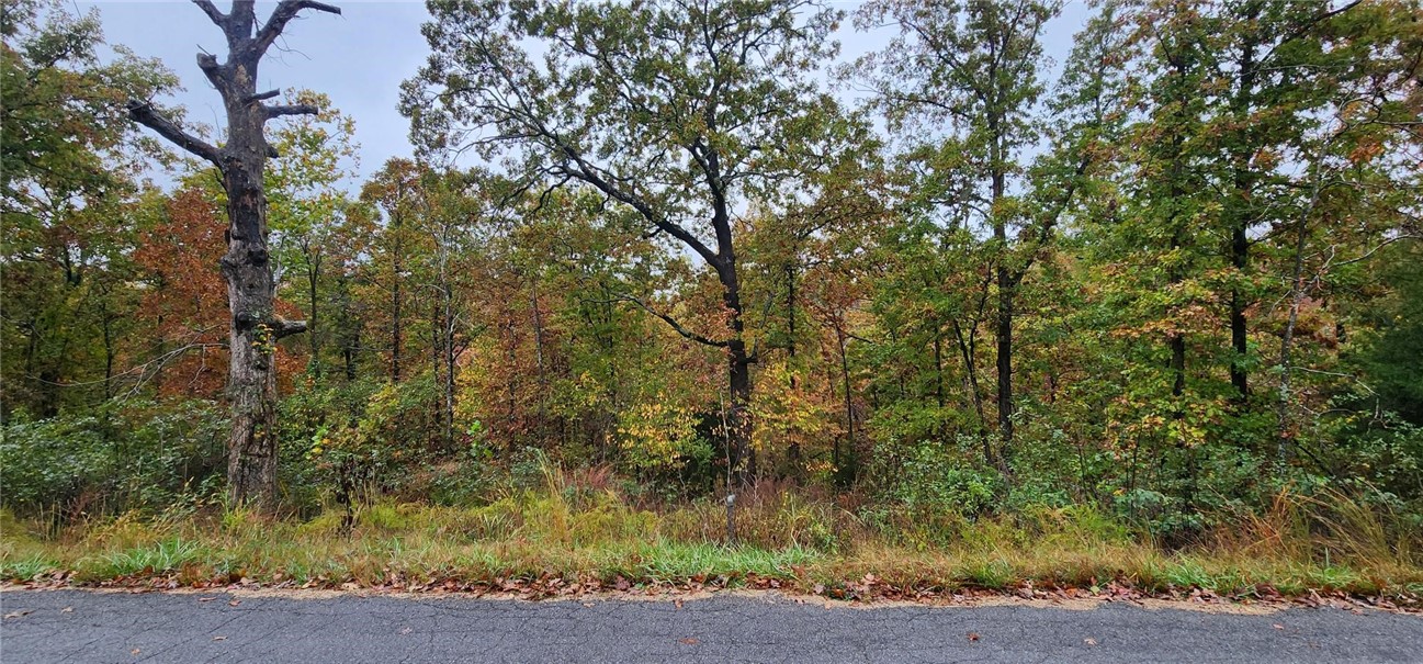 Walk to Loch Lomond! Build your walkout basement dream home on this .33-acre lot in the Highlands. Own property in Bella Vista and enjoy resort style living. Amenities include 8 golf courses, 7 lakes, swimming pools, 100s of miles of World Class Mountain bike trails, nature & walking trails, gun range, fitness & recreation centers, pickleball & tennis courts, disc golf, restaurants and more. Visit the Bella Vista POA website for details.