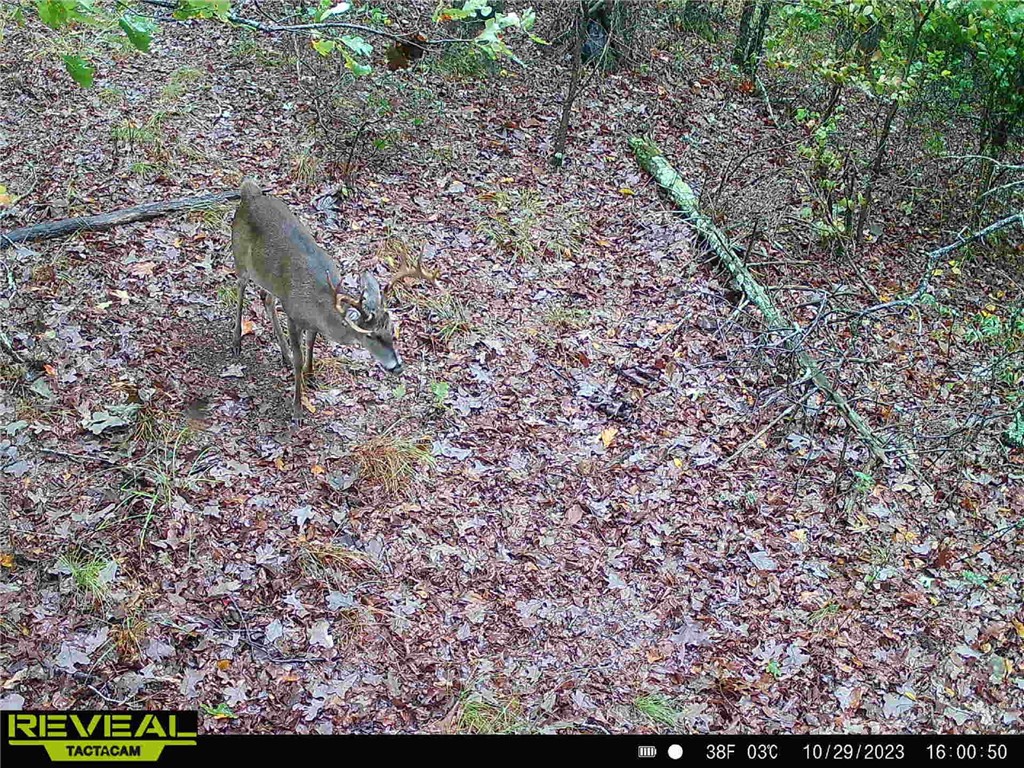 34-4S-26W RURAL ACREAGE - Land