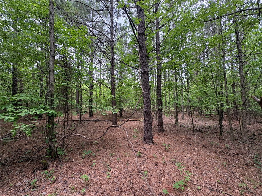 34-4S-26W RURAL ACREAGE - Land