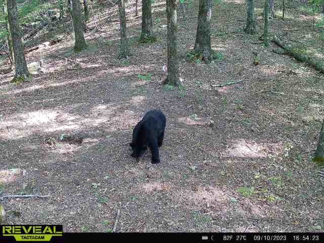 34-4S-26W RURAL ACREAGE - Land