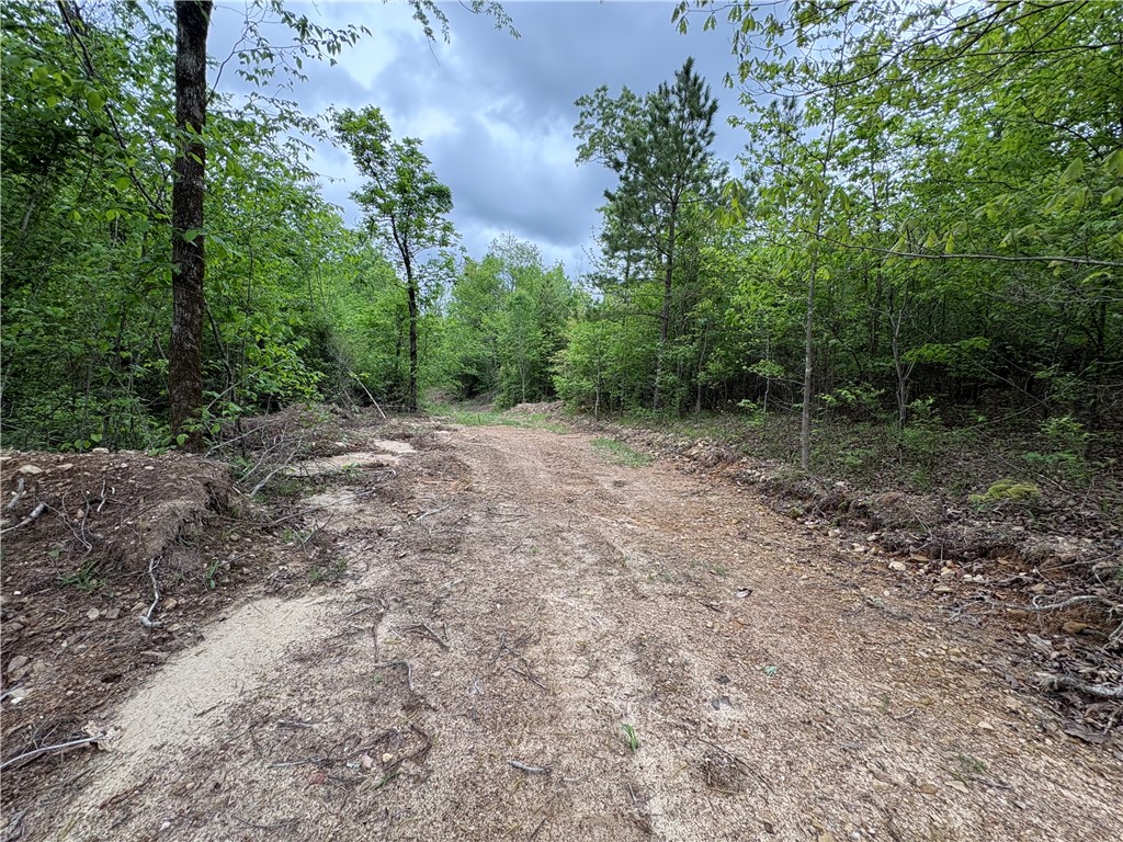 34-4S-26W RURAL ACREAGE - Land