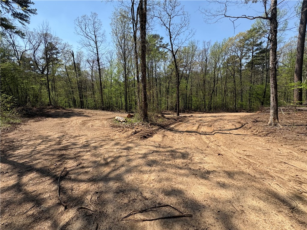 34-4S-26W RURAL ACREAGE - Land