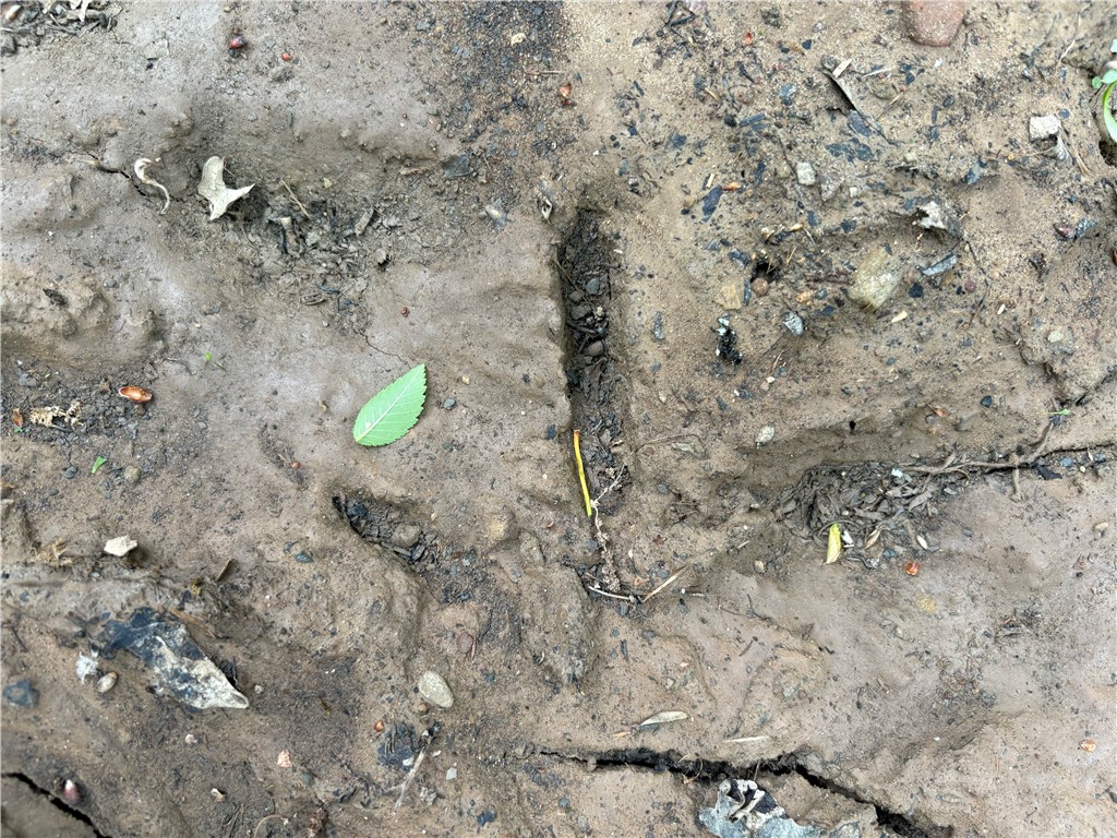 34-4S-26W RURAL ACREAGE - Land