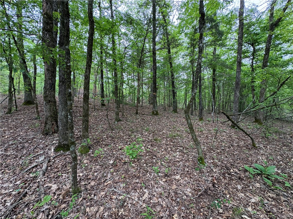 34-4S-26W RURAL ACREAGE - Land