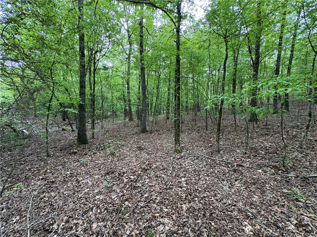 34-4S-26W RURAL ACREAGE - Land