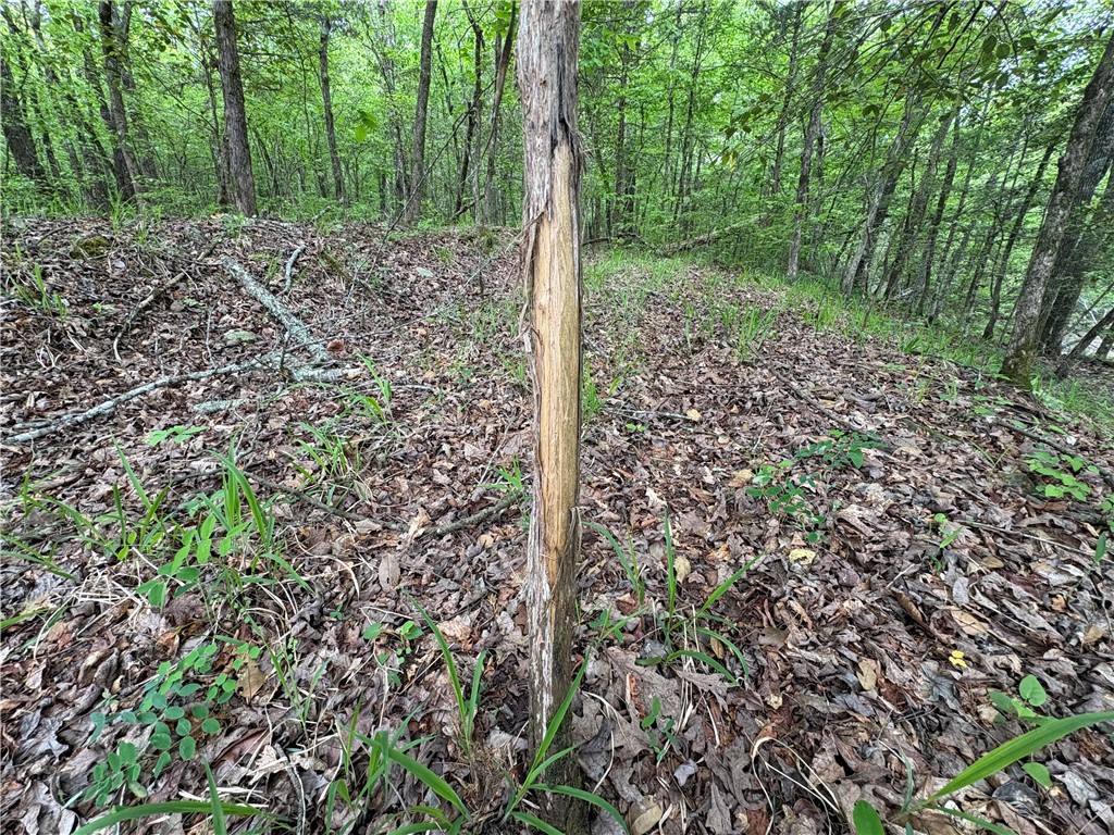 34-4S-26W RURAL ACREAGE - Land