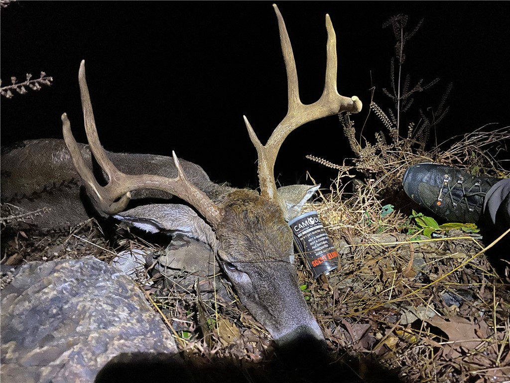 34-4S-26W RURAL ACREAGE - Land