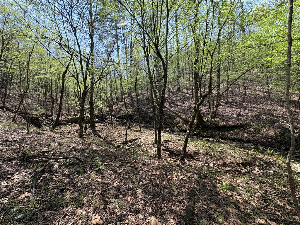 34-4S-26W RURAL ACREAGE - Land