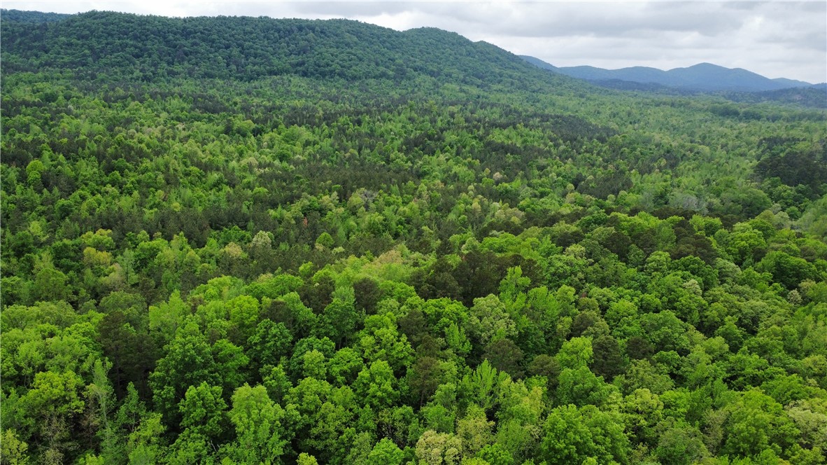 34-4S-26W RURAL ACREAGE - Land