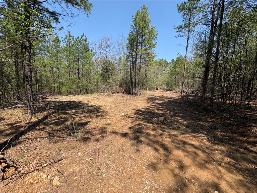 34-4S-26W RURAL ACREAGE - Land