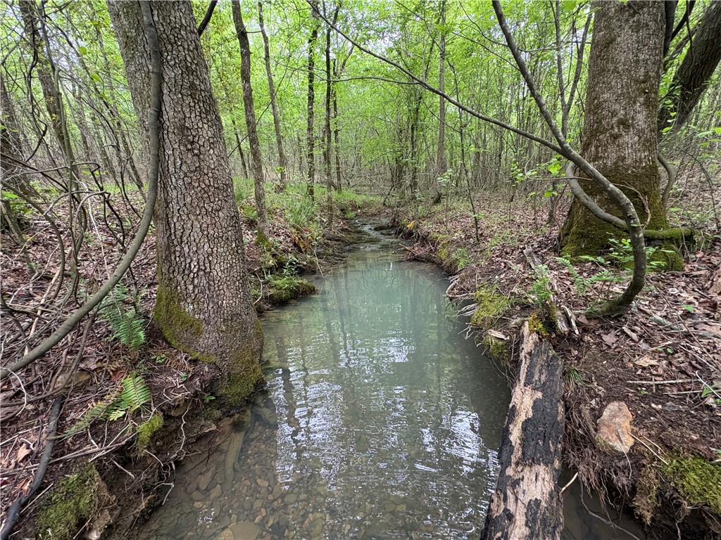 34-4S-26W RURAL ACREAGE - Land