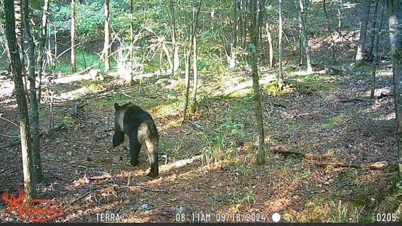 34-4S-26W RURAL ACREAGE - Land