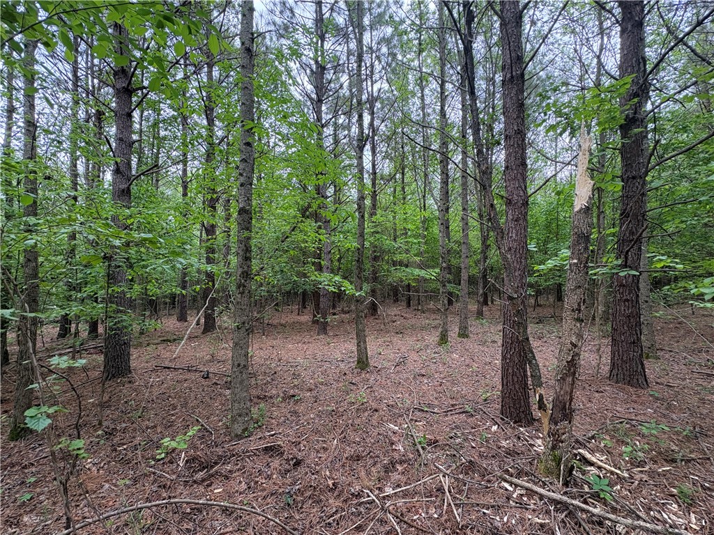 34-4S-26W RURAL ACREAGE - Land