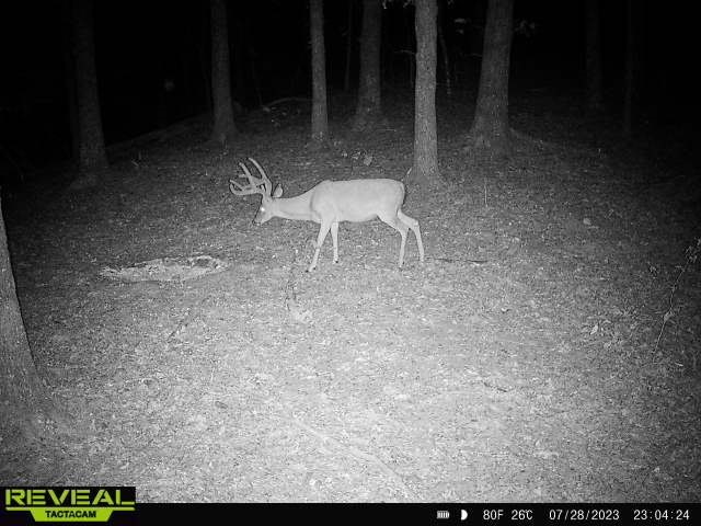 34-4S-26W RURAL ACREAGE - Land