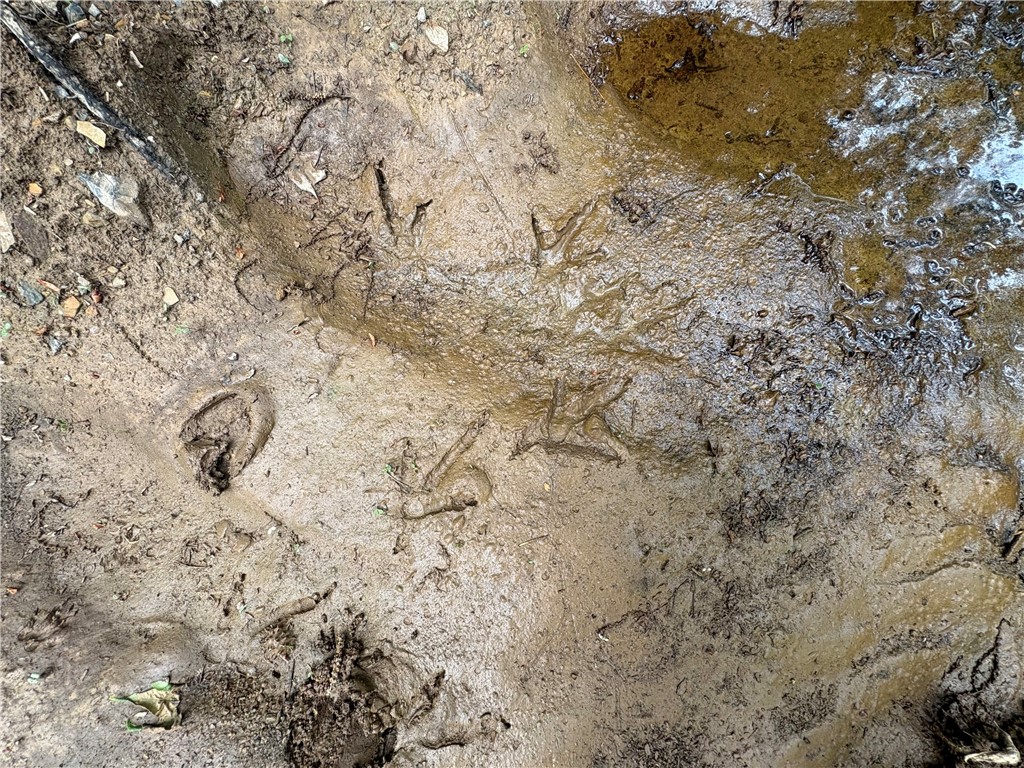 34-4S-26W RURAL ACREAGE - Land