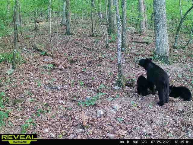 34-4S-26W RURAL ACREAGE - Land