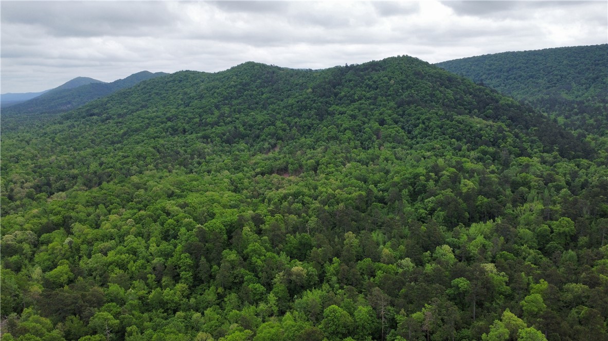 34-4S-26W RURAL ACREAGE - Land