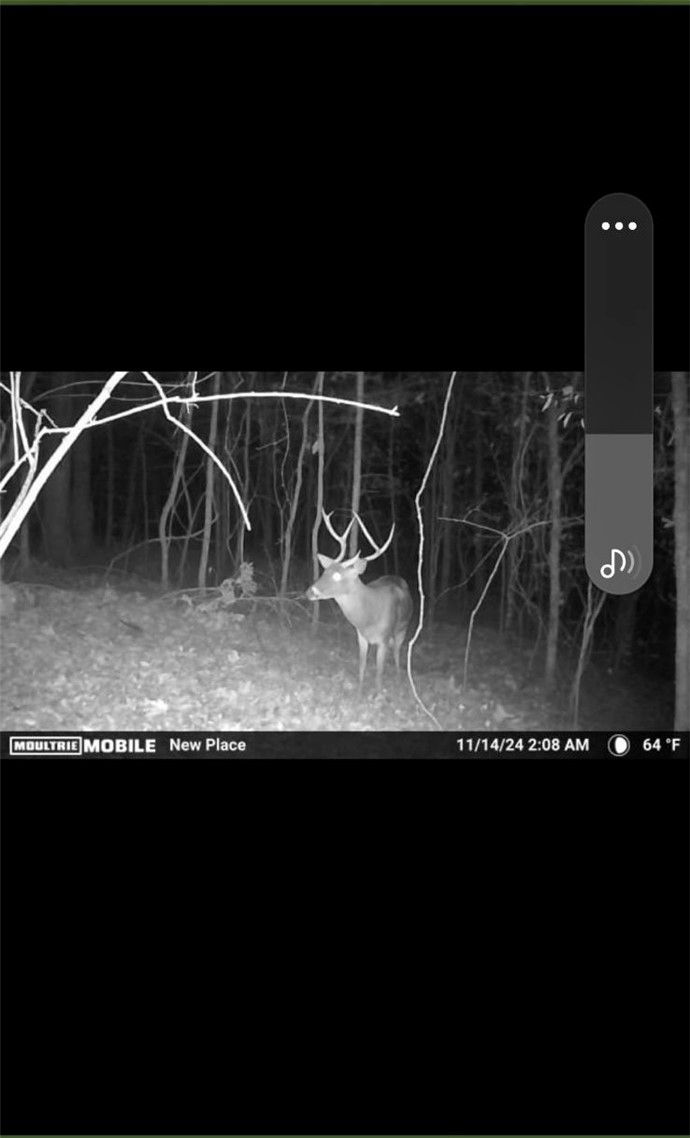 34-4S-26W RURAL ACREAGE - Land