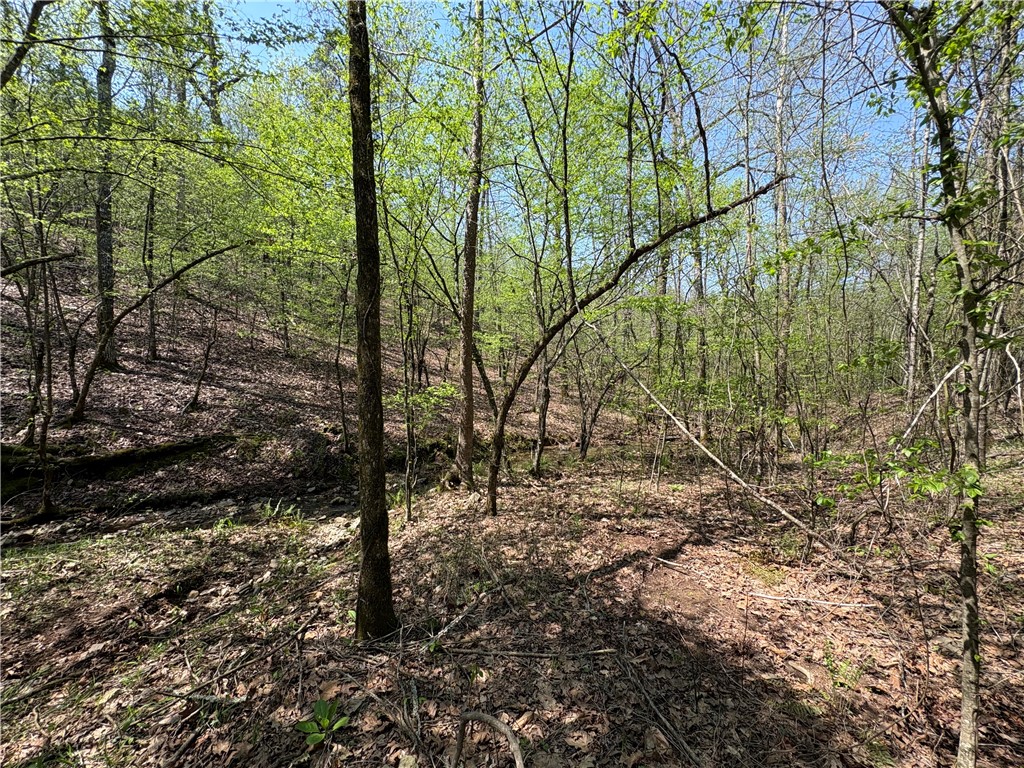 34-4S-26W RURAL ACREAGE - Land