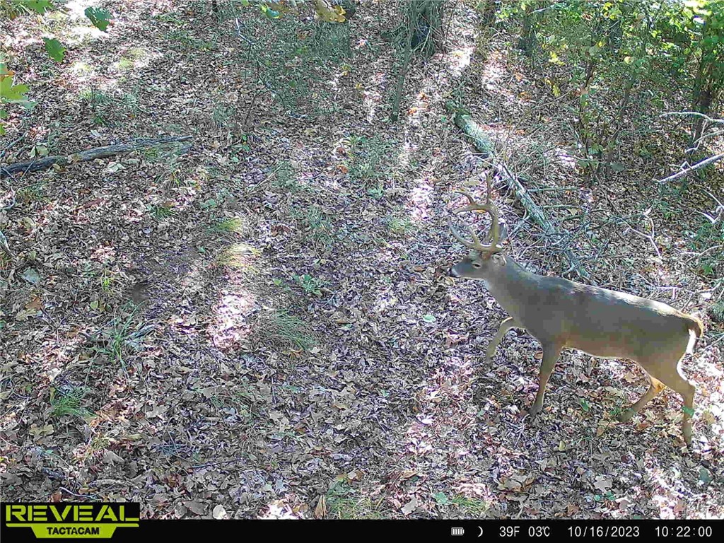 34-4S-26W RURAL ACREAGE - Land