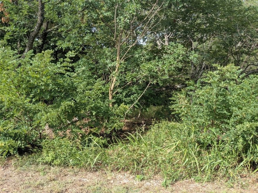 Ready to build your dream home? Near the main entrance, your new property is walking distance from the Holiday Island Country Club and golf course. Quiet and gently wooded with beautiful views, this elevated lot offers the best of both worlds. Enjoy the amenities in Holiday Island like golf courses, a country club, swimming, tennis and a marina with a fishing dock or watch the local fauna from your front porch! Nearby Eureka Springs or Rogers offers great shopping and vibrant cultural hubs.