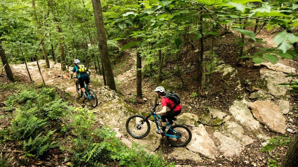 Mauck Block-Bentonville - Land