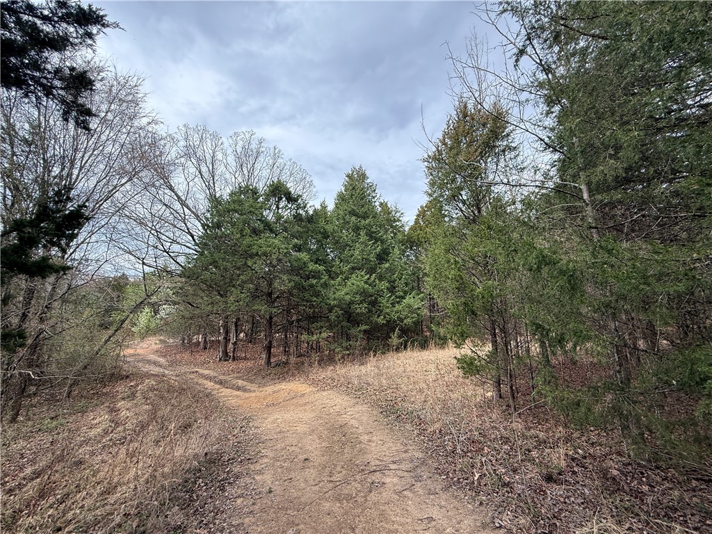 Rsvl By Sections - Land