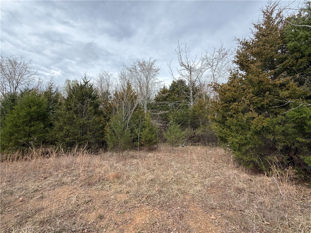 Rsvl By Sections - Land