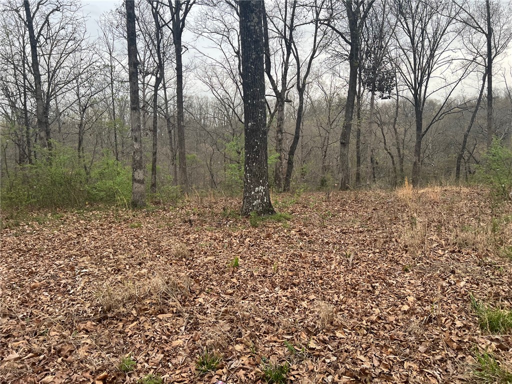 Norfolk Sub Bvv - Land