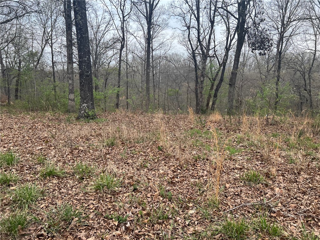 Norfolk Sub Bvv - Land