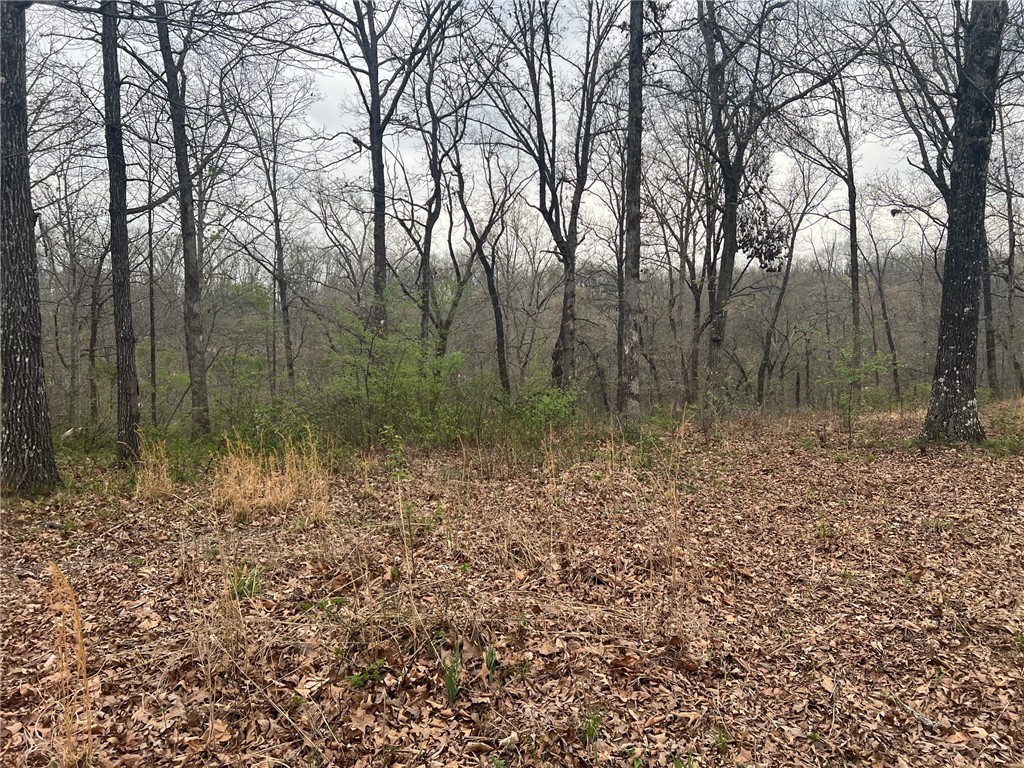 Norfolk Sub Bvv - Land