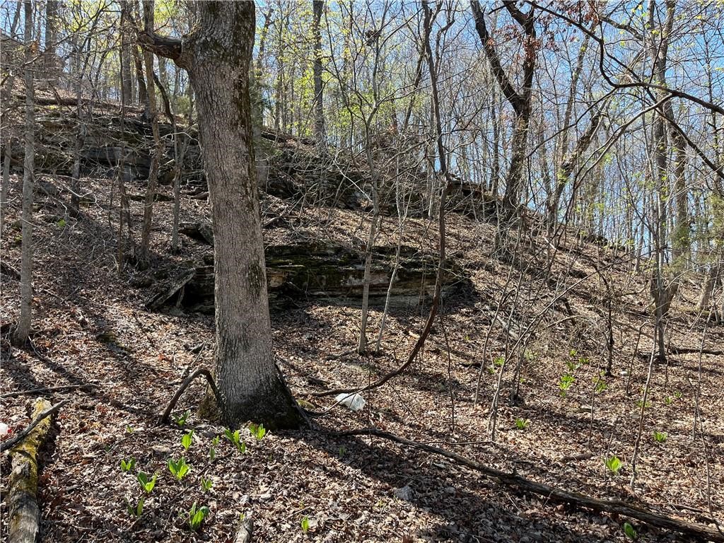 Lost Bridge Village - Land