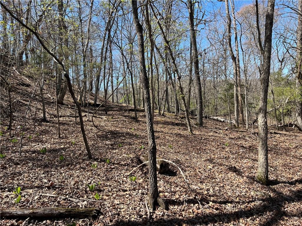 Lost Bridge Village - Land