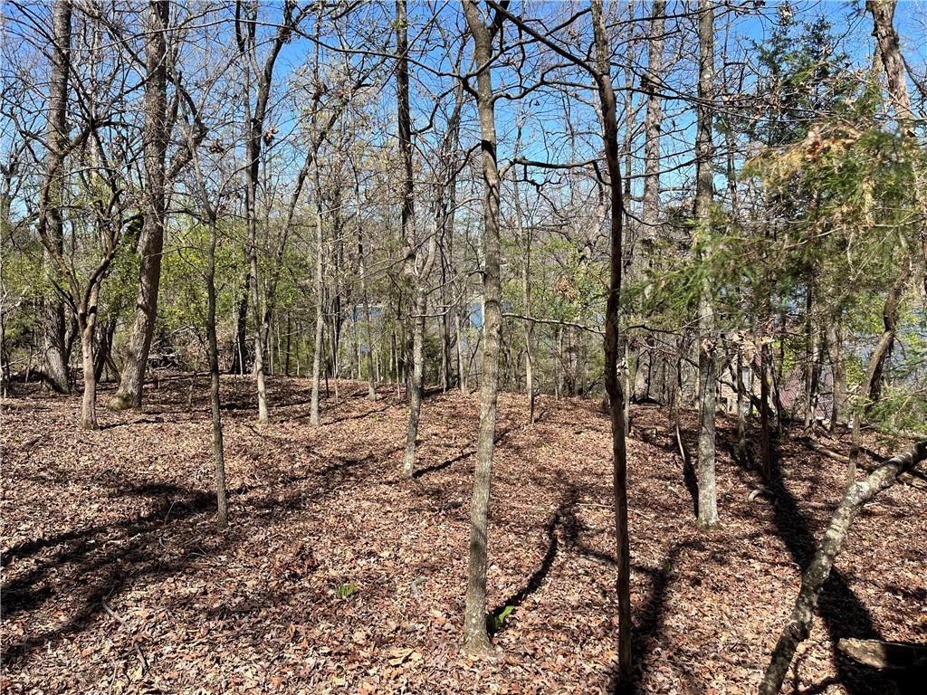 Lost Bridge Village - Land