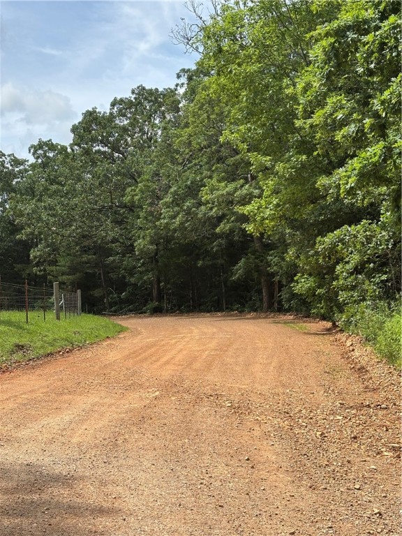 If you are dreaming of buying land and living in the Ozarks, here's your chance! 9.98 Acres of untouched Beautiful Ozark mountain land. Enjoy the peaceful life and build your dream home, cabin or use for a weekend getaway. The County Road is recently graded and easy to drive. There are a few level spots to build on and with minimal clearing the views could be phenomenal. Don't miss your chance to own nearly 10 acres of Unrestricted Land at this price! You are only 12 minutes to Downtown Berryville which provides all your shopping and supply needs. Close enough to the nearest city but secluded enough to be in your own slice of paradise. Hurry this one won't last long!