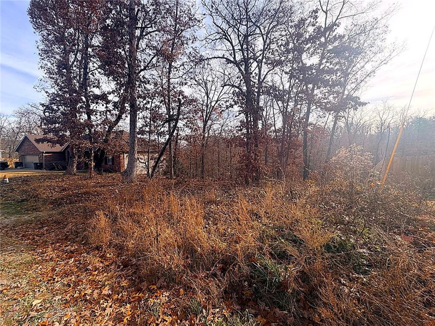 Discover your blank canvas in the heart of Bella Vista! This vacant lot offers endless possibilities for creating your dream home in one of Arkansas's most desirable communities. The generous lot size provides ample space for both your vision and future outdoor enjoyment. Imagine waking up just minutes from the scenic Bella Vista Back 40 Trail Head, where biking adventures await right at your doorstep. Golf enthusiasts will appreciate the proximity to Metfield Golf Complex, featuring both Dogwood and Brittany courses for perfecting your swing. When relaxation calls, beautiful Lake Ann offers peaceful waterfront activities and stunning natural scenery. This prime location puts you at the center of Bella Vista's active lifestyle, where neighbors become friends and every day feels like a retreat. The established neighborhood combines tranquil residential living with convenient access to recreational amenities that make this community truly special.