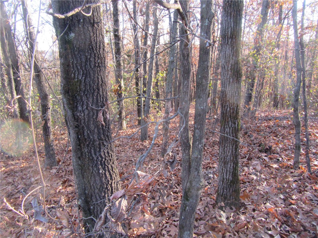 This is a fabulous lot for the privacy lover who wants to build perhaps a two level tree house type structure. This lot is across from an older farmhouse with addition which was used for filming the Billy Bob lThornton movie "Crystal". The location is really close to the Historic and. A A Loop (up the hill). Clear Springs School is close by and also roads leading to town and North to Holiday Island .
