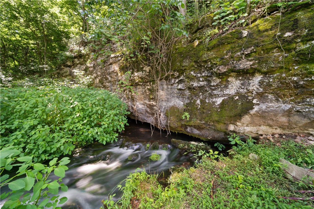 Healing Springs Phase 2 - Land